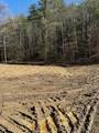 63.74 Acre Chestnut Valley Road - Photo 10