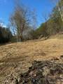 63.74 Acre Chestnut Valley Road - Photo 7