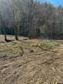 63.74 Acre Chestnut Valley Road - Photo 8