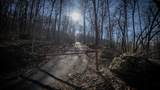000 Hinch Mountain Road - Photo 4