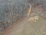 10898 Back Piney Road - Photo 12