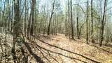 40 Acres County Road 492 - Photo 13
