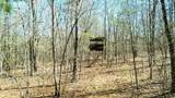 40 Acres County Road 492 - Photo 14