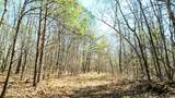 40 Acres County Road 492 - Photo 16