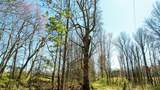 40 Acres County Road 492 - Photo 17