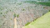 40 Acres County Road 492 - Photo 18