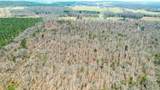 40 Acres County Road 492 - Photo 23