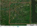 40 Acres County Road 492 - Photo 3