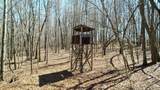 40 Acres County Road 492 - Photo 4