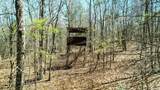 40 Acres County Road 492 - Photo 5