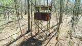40 Acres County Road 492 - Photo 8