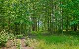 Lot 2222 High Ground Road - Photo 22