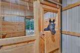 596 Clifty Creek Road - Photo 7