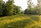 0-Lot 19 Long Branch Road - Photo 12