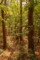 0-Lot 19 Long Branch Road - Photo 41