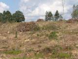 Lot12 Summer City Road - Photo 6