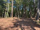 Tract 6 Pleasant Hill Road - Photo 3