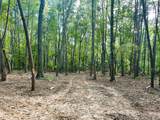 Tract 5 Pleasant Hill Road - Photo 7