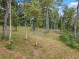 0-Lot 209 Bobcat Trail - Photo 29