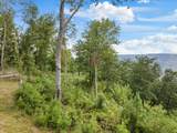 0-Lot 209 Bobcat Trail - Photo 34