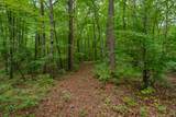118 Beaten Path Road - Photo 71