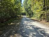 2519 Lower River Road - Photo 32