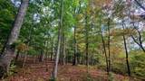 3688 Straight Gut Road - Photo 17