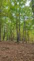 3688 Straight Gut Road - Photo 18