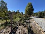 3128 Browns Trace Road - Photo 118