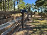 3128 Browns Trace Road - Photo 89
