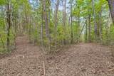 Lot 9 Shoal Creek Road - Photo 6