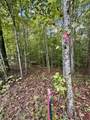 1-Lot 6 Three Forks Road - Photo 23