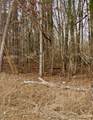 0 Honeysuckle Ridge Road - Photo 10
