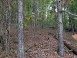 0 Honeysuckle Ridge Road - Photo 21