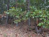 0 Honeysuckle Ridge Road - Photo 25