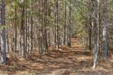 Tract 1 Conniston Road - Photo 7