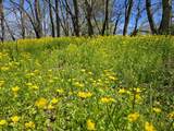 495 Lower East Valley Road - Photo 15