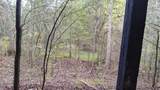 691-Tract #3 Summertown (4.61 Acres) Road - Photo 3