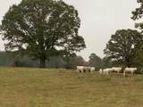 698 Payne Chapel Road - Photo 109