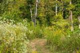 7 Sturgeon Creek Road - Photo 11