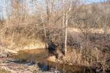 11438 County Road 91 - Photo 15