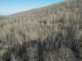 11438 County Road 91 - Photo 46