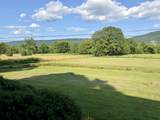 557 Alvin York Highway - Photo 5