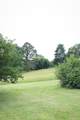 557 Alvin York Highway - Photo 8