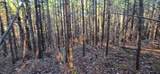 2512 Tolbert Town Road - Photo 14