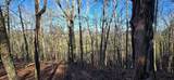 2512 Tolbert Town Road - Photo 34