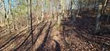 2512 Tolbert Town Road - Photo 41