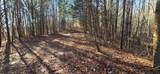 2512 Tolbert Town Road - Photo 45