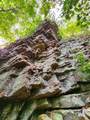 3155 Pigeon Spur Road - Photo 35