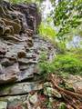 3155 Pigeon Spur Road - Photo 36